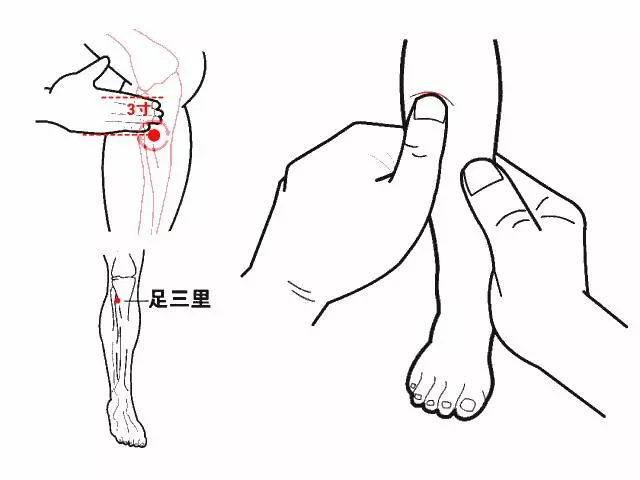 胃不好的人,遠離【3物】、多喝【3水】,修復胃粘膜,遠離幽桿菌,胃一點點變好!