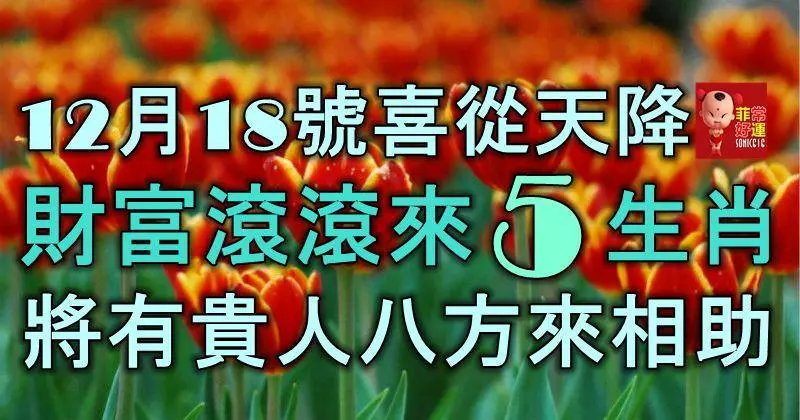 12月18號喜從天降,財富滾滾來的5生肖,將有貴人八方來相助!