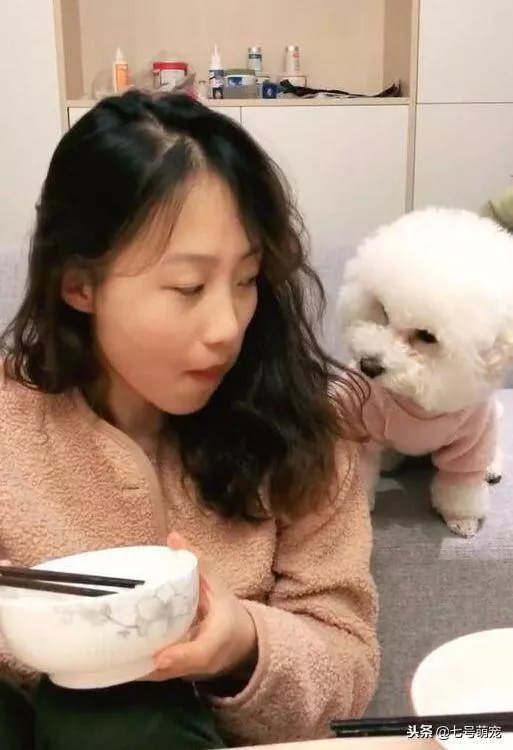 女主吃飯故意不搭理狗狗,狗狗之後討要美食舉動瞬間笑噴女主!