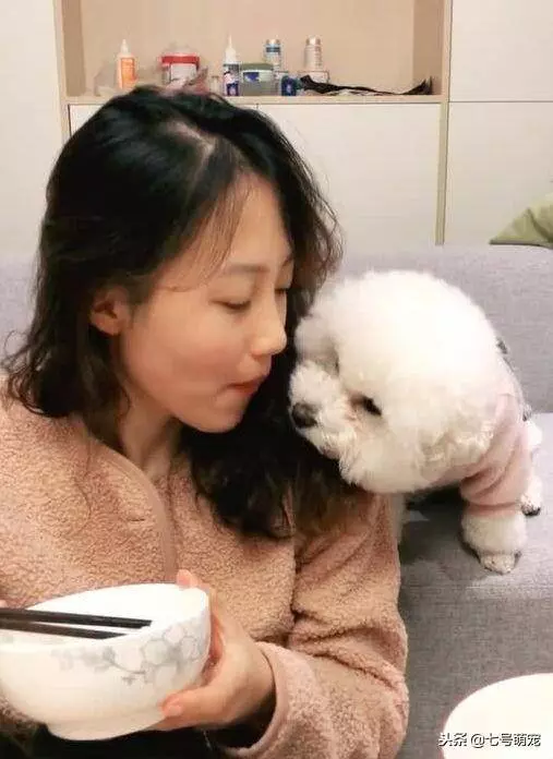 女主吃飯故意不搭理狗狗,狗狗之後討要美食舉動瞬間笑噴女主!
