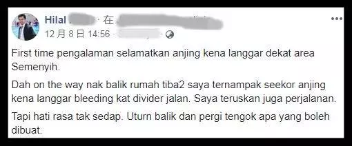 狗狗被撞受傷,大馬男子的舉動和這番話獲得網民讚賞!不一樣的穆斯林