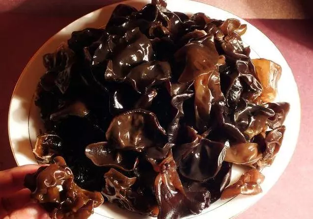 這3種食物是血管的「守護神」,每天吃一點,血管越來越有彈性,到老不怕動脈硬化!