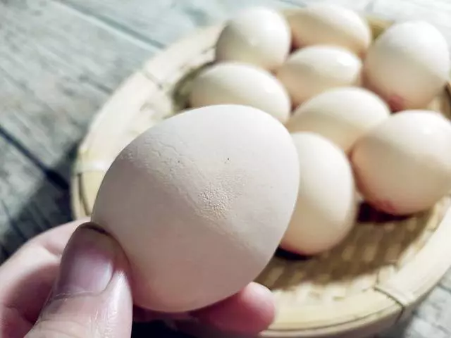 【教你一個方法】如何在煮雞蛋時不開裂還會自動脫殼