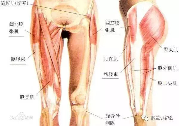 1天1分鐘,大部分膝關節痛都會自然好