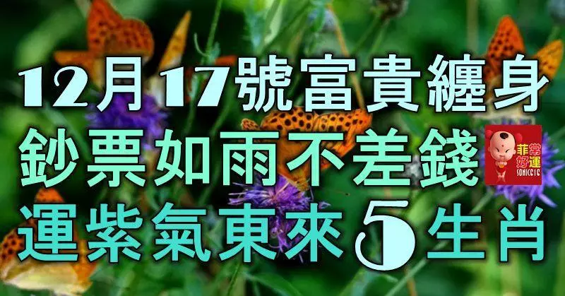 12月17號起富貴纏身,鈔票如雨不差錢,大運紫氣東來的5大生肖!