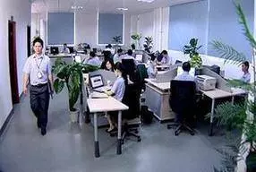 到岳父公司上班,工資三千老婆讓我忍,年底查賬我眼眶發紅!