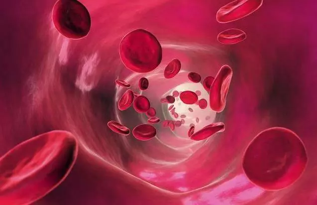 血管裡面都是「油」,學會這2個食療法,清血管、降膽固醇簡單又高效