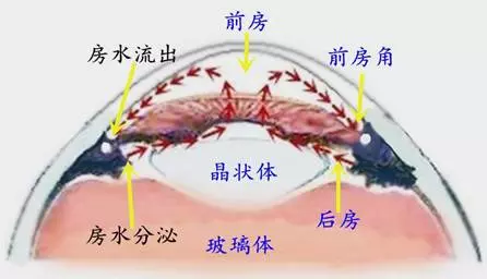 【警惕】50%盲人都是因「青光眼」失明,9成患者不自知!醫:這「五種人」最危險