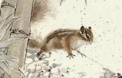 2019年財運亨通,家有喜事降臨的5大生肖,有福有錢有財變富豪!