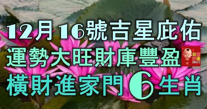 12月16號開始吉星庇佑,運勢大旺財庫豐盈,橫財進家門的6大生肖!