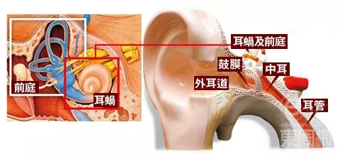 【耳水不平衡暈眩症秘方】轉發一次,救人無數!功德無量!