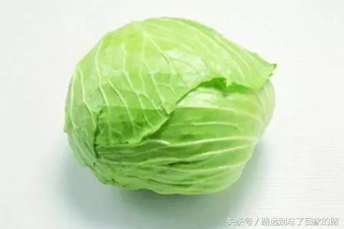 吃什麼食物可以殺死幽門螺桿菌?這8種食物不可錯過