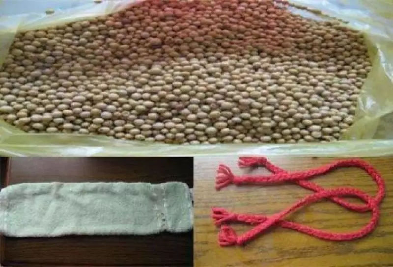 退休骨科醫生:枕頭裡面撒一把,頭暈手麻不再有,頸椎不好都試試 !