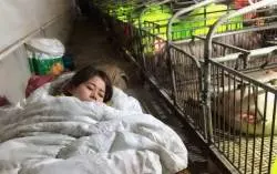 【刺死鄰居】余百親友陪同葉春梅 走完人生最後一程 | 東方網 | 馬來西亞東方日報