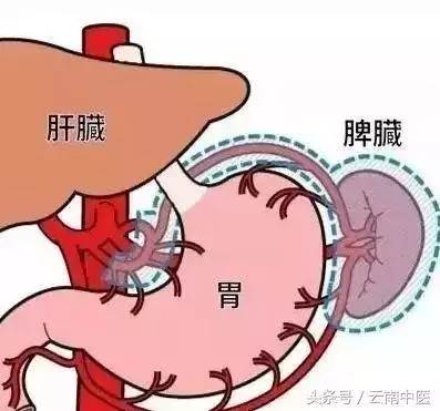脾積毒=臉色差+易虛胖 5個調理方法有助於清脾毒