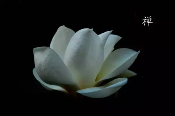 佛說:沒口德的人,下場會很悽慘!