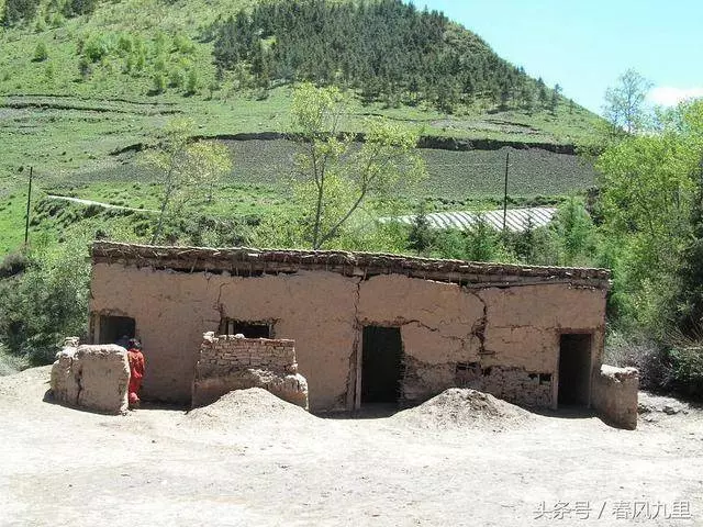 為給養女治病,養父跪在她親生父母腳下求借錢,卻被轟出家門