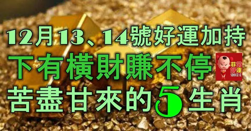 12月13、14號起,上有好運加持,下有橫財賺不停,苦盡甘來的5大生肖!