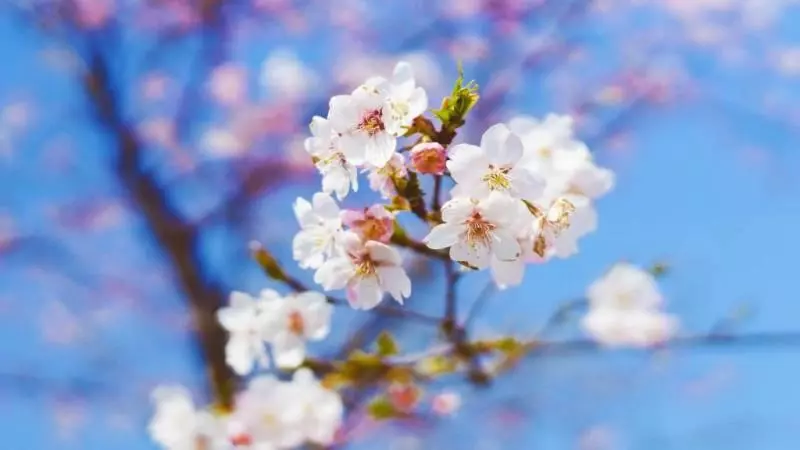12月12號,大旺特旺,橫財滿滿喜盈門,6生肖喜多財旺有錢花!