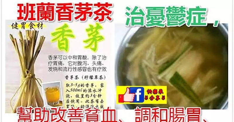 【養生去風班蘭香茅茶】好喝又清香。對貧血及憂鬱症都有幫助。喝的時候再加檸檬