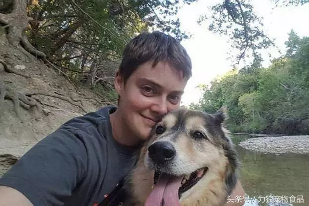 流著幸福的淚水,哈士奇慢慢閉上眼睛,死在了主人的懷裡!