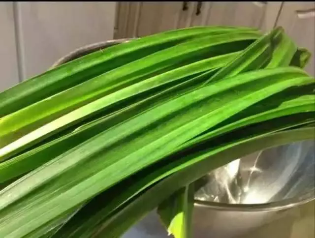 斑斕葉這樣煮,有效降低降尿酸,去肝火,還能排毒治肝炎