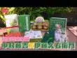 日做夜做都不夠他厲害!男子養蟑螂月入RM25K!