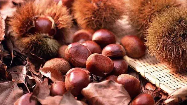 百歲老人養生秘訣:每天吃幾顆,補腎強腰、預防骨質疏鬆、眼不花,發不白,腿腳好!
