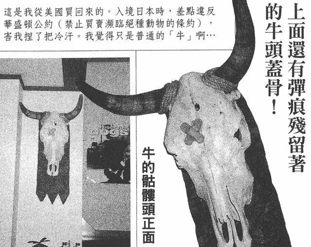 海賊王作者尾田榮一郎藏品大公開,靈感來源了來自這裡!