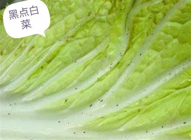 食材鑑定告訴你,白菜上有黑點能吃嗎