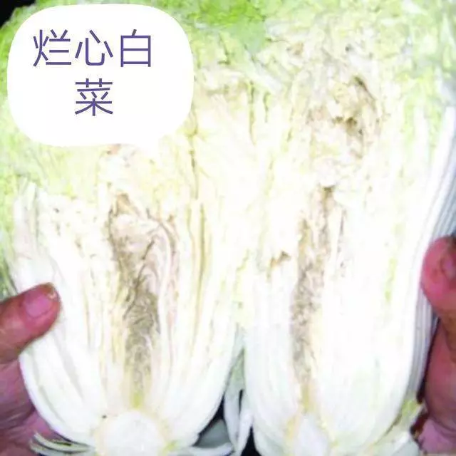 食材鑑定告訴你,白菜上有黑點能吃嗎
