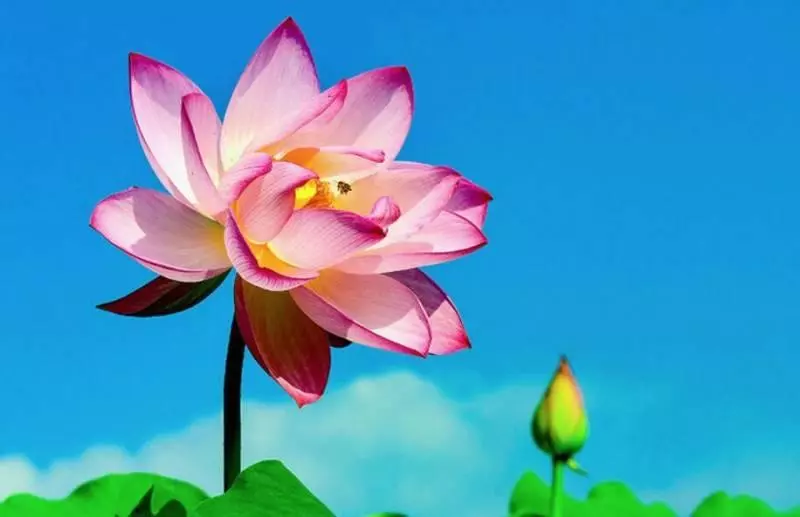 12月8號起財字當頭,財旺盛萬事興,賺得盆滿缽滿的6大生肖!