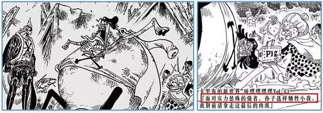 海賊王926話:故事細節全整理