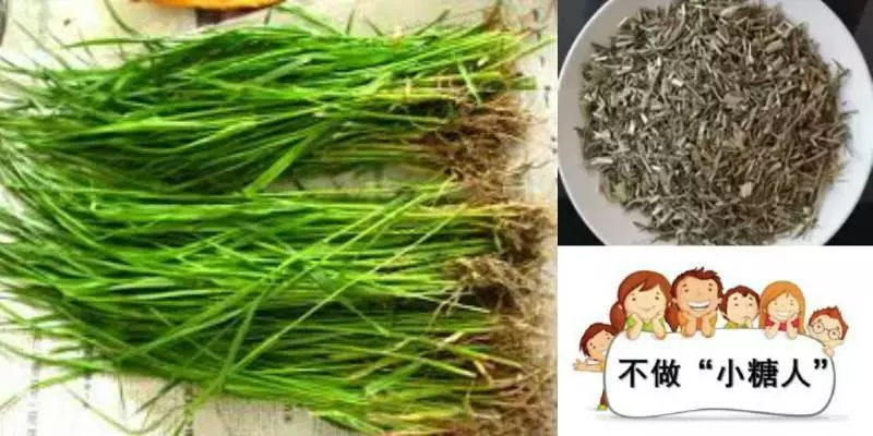 本人身患糖尿病多年,吃藥無數,丈母娘給了一個偏方,成功把血糖降下,不用再吃藥了!
