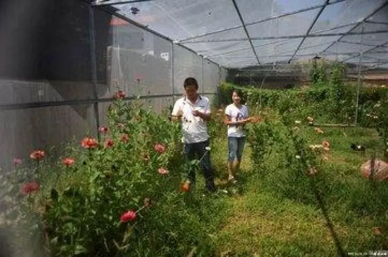 離婚2個月後去看女兒,看到桌上的飯菜,俺哭著求復婚