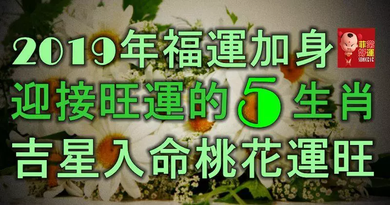 2019年的福運加身,迎接旺運的5大生肖,吉星入命,桃花運旺!