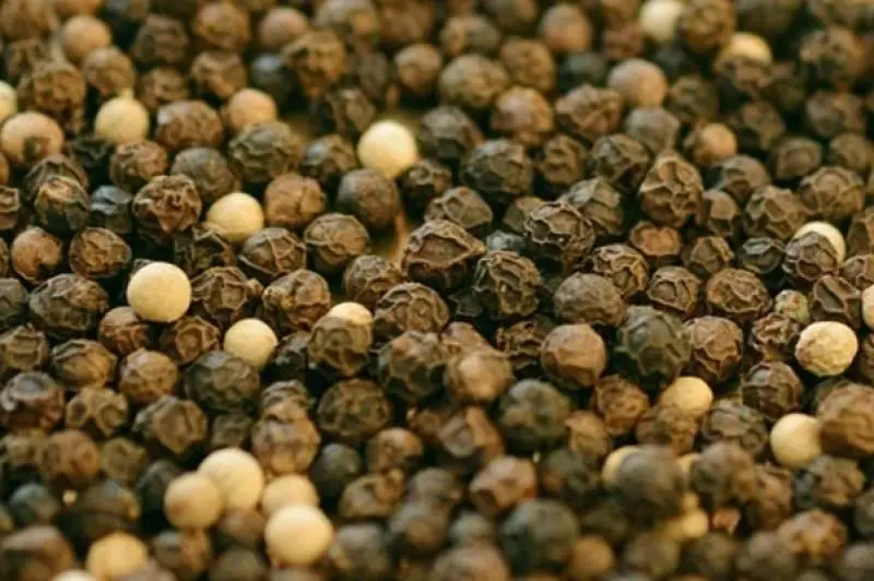 花椒有治痔瘡、止痛、解毒、防皮膚瘙癢等功效,用它泡水還有這用途!