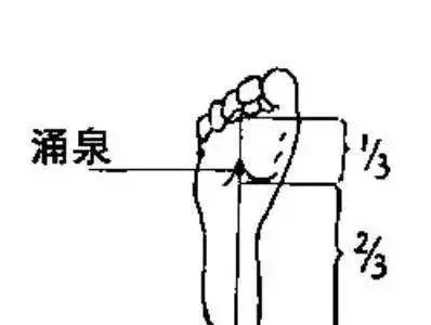 祖傳【黃金腎臟排毒法】只要照著做,腎臟立即排毒消水腫哦!