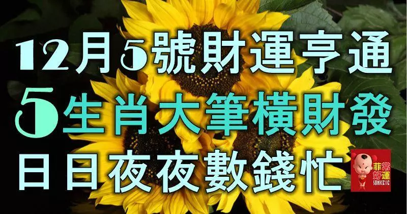 12月5號財運亨通,5生肖大筆橫財發,日日夜夜數錢忙!