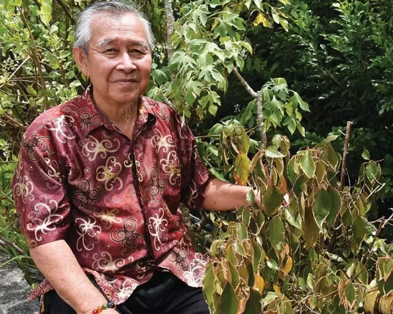【奇花妙草】金邊桑:打救腰痛的紅星!!!