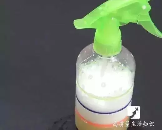 牙膏和啤酒混在一起居然這麼厲害,家家戶戶都需要,一年省下不少錢!