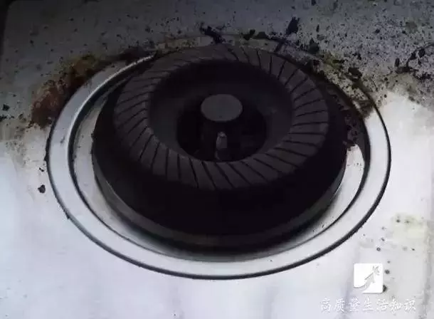 牙膏和啤酒混在一起居然這麼厲害,家家戶戶都需要,一年省下不少錢!