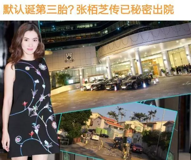 張柏芝產三胎再添佐證,原來孩子他爸並非65歲富商,而是年輕帥哥?網友:第三胎顏值一定很高~