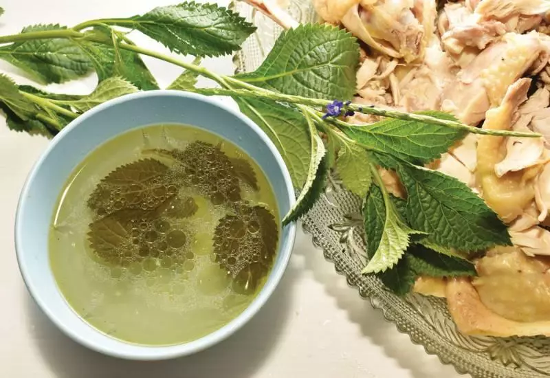 爸爸胃痛幾十年,姐姐求得中醫師一秘方,盡然治好了!玉龍鞭:胃痛草內外兼用,效果超好!