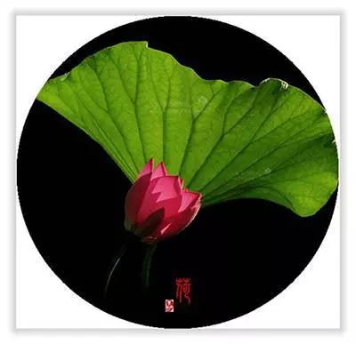 能看到此文是一種福氣,能看懂此文是一種福報