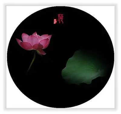 能看到此文是一種福氣,能看懂此文是一種福報