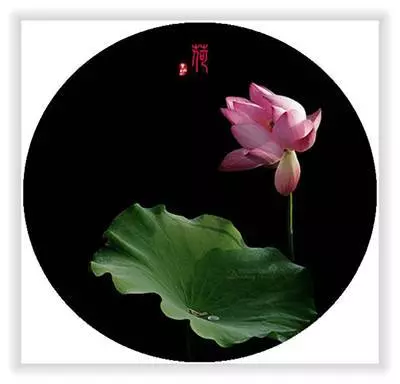 能看到此文是一種福氣,能看懂此文是一種福報