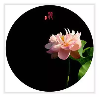 能看到此文是一種福氣,能看懂此文是一種福報