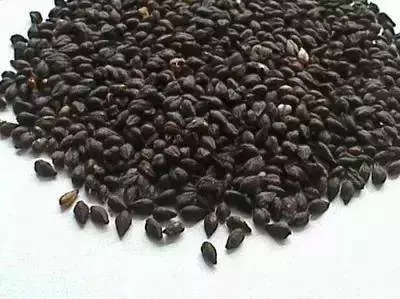 9大黑色食物比良藥還好,降血脂、抗腫瘤、抗衰老,你還不備起來 !