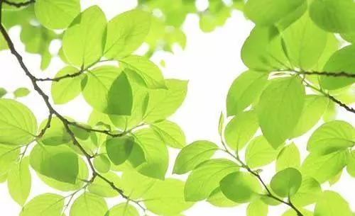 人生不必去計較的20件事,看完覺得釋懷多了。很透徹很真實!!